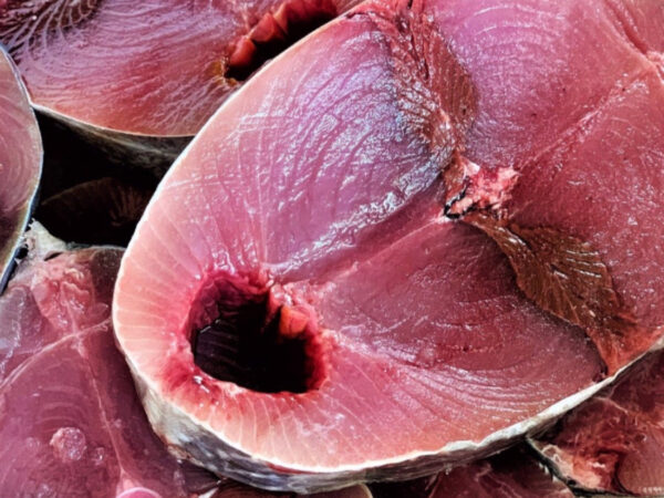 Cá Ngừ Bông Tươi (5lbs)